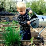 Hoe de juiste kleine veranderingen grote gevolgen kunnen hebben