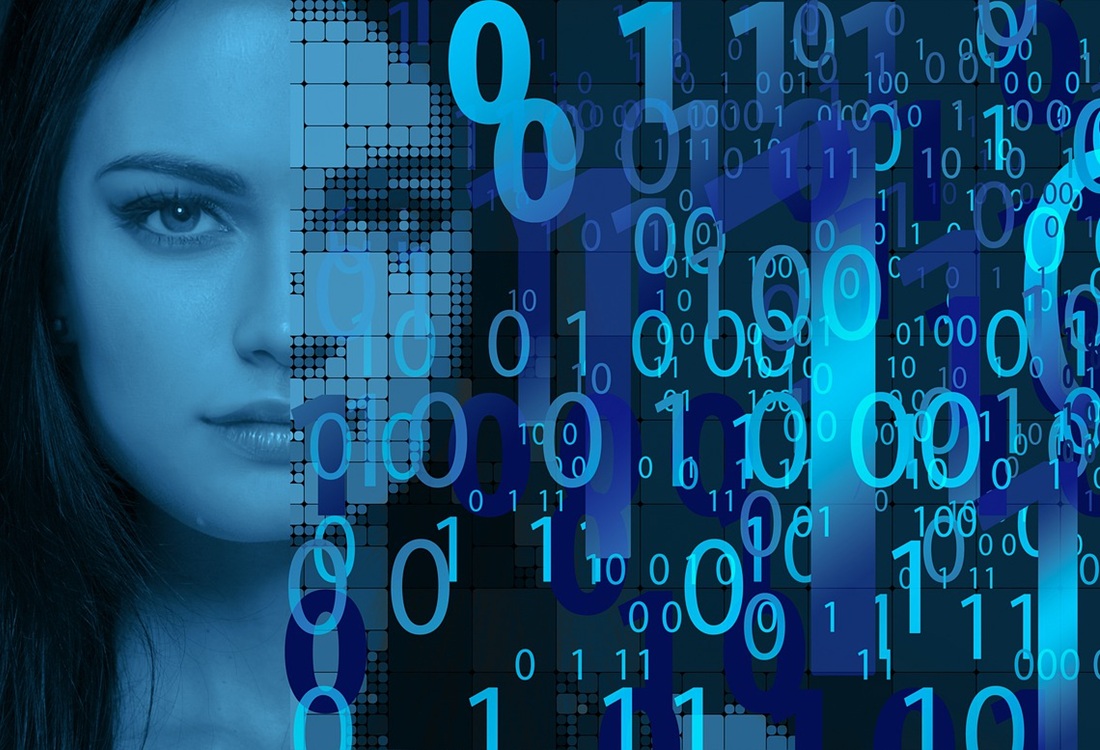 Onderzoek | Reconstructie van visuele waarneming op basis van hersenactiviteit