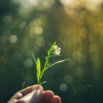 Beleidstoets mentale gezondheid | Lunchwebinar woensdag 3 juni
