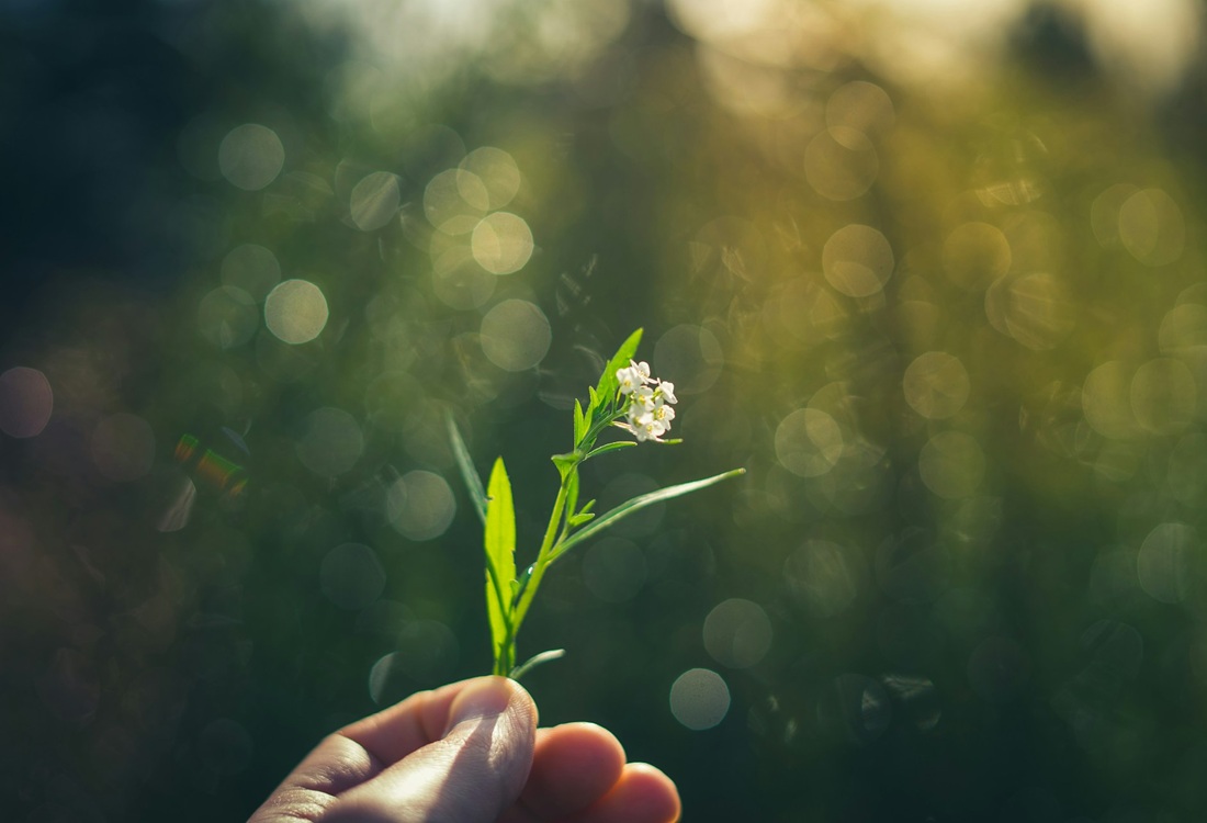 Beleidstoets mentale gezondheid | Lunchwebinar woensdag 3 juni